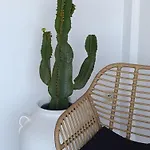Plakourakia Appartement Finikas (Syros)