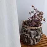 Plakourakia Appartement