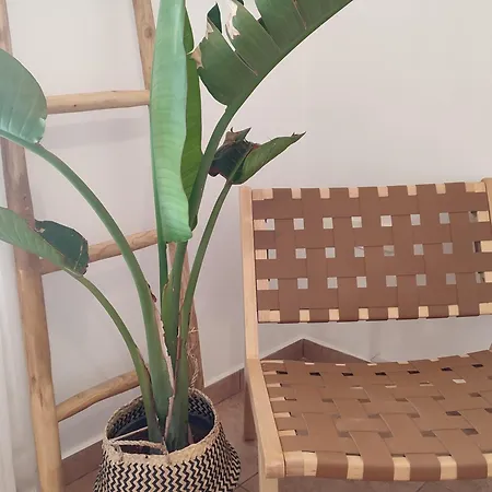Apartment Plakourakia *