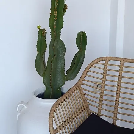 Plakourakia Apartment Finikas (Syros)