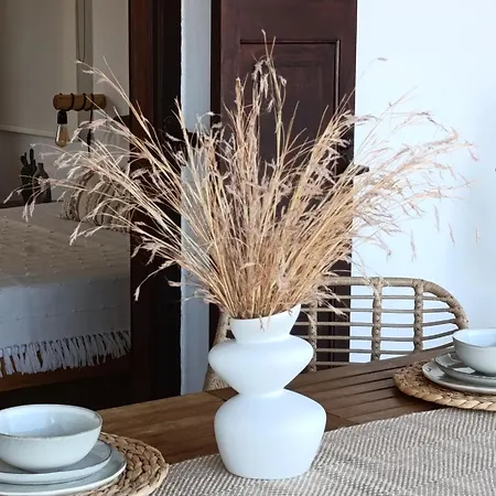 Apartment Plakourakia Finikas (Syros)